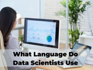 Read more about the article What Language do Data Scientists Use
